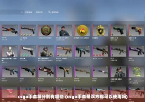 csgo手套箱分别有哪些 (csgo手套是双方都可以使用吗)