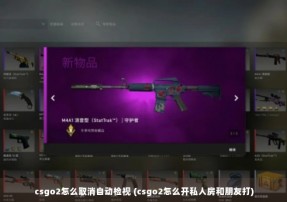 csgo2怎么取消自动检视 (csgo2怎么开私人房和朋友打)