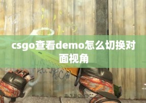 csgo查看demo怎么切换对面视角