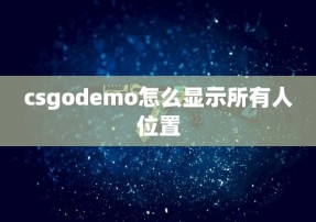 csgodemo怎么显示所有人位置