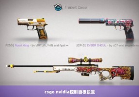 csgo nvidia控制面板设置