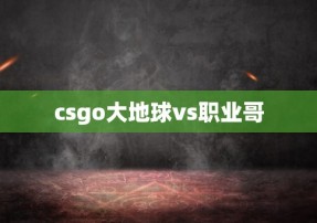 csgo大地球vs职业哥