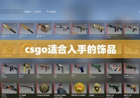 csgo适合入手的饰品