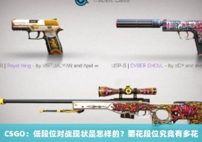 CSGO：低段位对战现状是怎样的？菊花段位究竟有多花