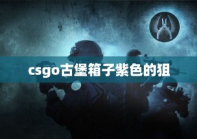 csgo古堡箱子紫色的狙