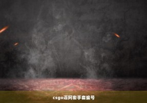 csgo迈阿密手套编号