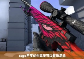 csgo不买优先完美可以有饰品吗