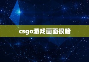 csgo游戏画面很暗