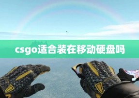 csgo适合装在移动硬盘吗