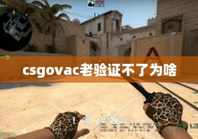 csgovac老验证不了为啥