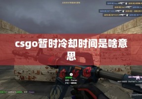 csgo暂时冷却时间是啥意思