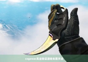 csgovac无法验证游戏处理方法