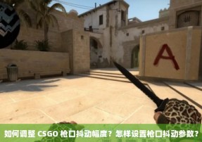 如何调整 CSGO 枪口抖动幅度？怎样设置枪口抖动参数？