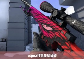 csgo2打完美就掉帧