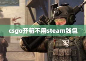 csgo开箱不用steam钱包