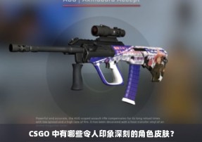 CSGO 中有哪些令人印象深刻的角色皮肤？