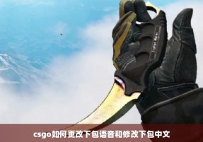 csgo如何更改下包语音和修改下包中文