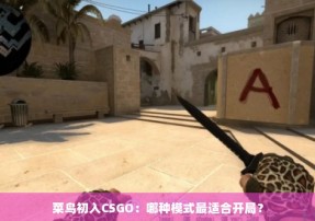 菜鸟初入CSGO：哪种模式最适合开局？