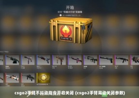 csgo2手臂不抖动指令开启关闭 (csgo2手臂晃动关闭参数)