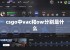 csgo中vac和ow分别是什么