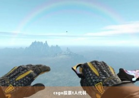 csgo投票t人代码