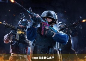 csgo黄金什么水平