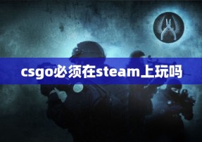 csgo必须在steam上玩吗