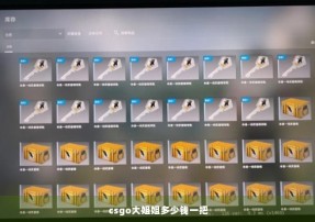 csgo大姐姐多少钱一把