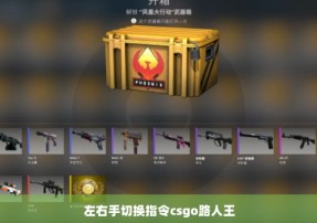 左右手切换指令csgo路人王