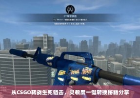 从CSGO转战生死狙击，灵敏度一键转换秘籍分享