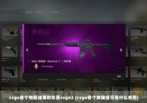 csgo各个地图掉落的东西csgo2 (csgo各个数据缩写是什么意思)