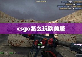 csgo怎么玩欧美服