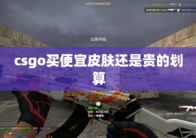 csgo买便宜皮肤还是贵的划算