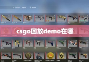 csgo回放demo在哪