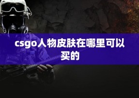 csgo人物皮肤在哪里可以买的