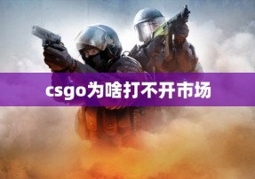 csgo为啥打不开市场