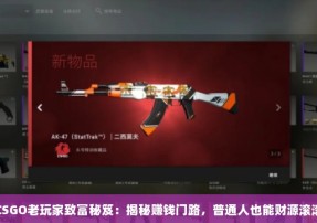 CSGO老玩家致富秘笈：揭秘赚钱门路，普通人也能财源滚滚