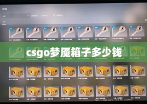 csgo梦魇箱子多少钱