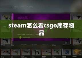 steam怎么看csgo库存物品