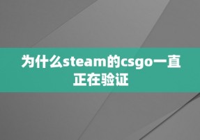 为什么steam的csgo一直正在验证