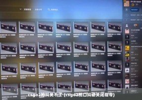 csgo2枪抖关不了 (csgo2枪口抖动关闭指令)