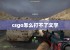 csgo怎么打不了文字