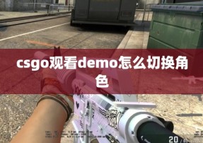 csgo观看demo怎么切换角色