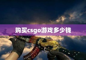 购买csgo游戏多少钱