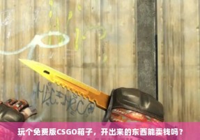 玩个免费版CSGO箱子，开出来的东西能卖钱吗？