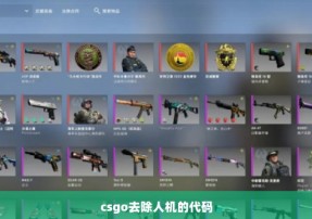 csgo去除人机的代码