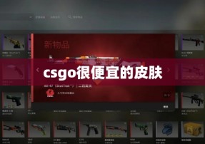 csgo很便宜的皮肤