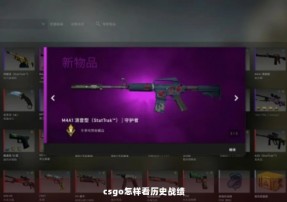 csgo怎样看历史战绩