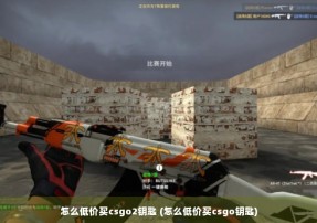 怎么低价买csgo2钥匙 (怎么低价买csgo钥匙)