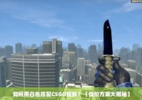 如何用白色搭配CSGO皮肤？【低价方案大揭秘】